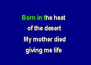 Born in the heat
of the desert

My mother died

giving me life