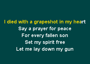 I died with a grapeshot in my heart
Say a prayer for peace

For every fallen son
Set my spirit free
Let me lay down my gun