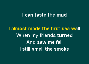 I can taste the mud

I almost made the First sea wall

When my friends turned
And saw me fall
I still smell the smoke