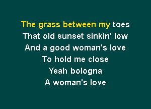 The grass between my toes
That old sunset sinkin' low
And a good woman's love

To hold me close
Yeah bologna
A woman's love