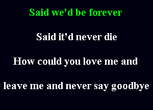 Said we'd be forever
Said it'd never die
Honr could you love me and

leave me and never say goodbye