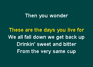 Then you wonder

These are the days you live for

We all fall down we get back up
Drinkin' sweet and bitter
From the very same cup