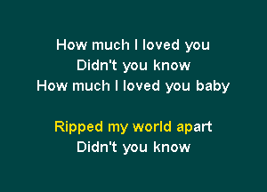 How much I loved you
Didn't you know
How much I loved you baby

Ripped my world apart
Didn't you know