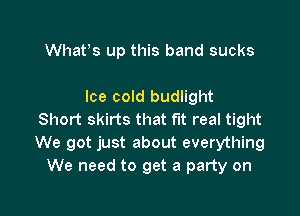 Whatts up this band sucks

Ice cold budlight

Short skirts that fit real tight
We got just about everything
We need to get a party on