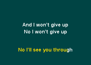 And I won,t give up
No I wonit give up

No Pll see you through