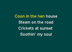 Coon in the hen house
Steam on the road

Crickets at sunset
Soothiw my soul