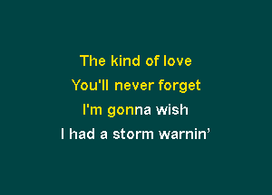 The kind of love

You'll never forget

I'm gonna wish
I had a storm warnin,