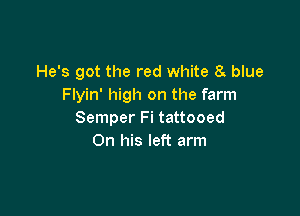 He's got the red white 8g blue
Flyin' high on the farm

Semper Fi tattooed
On his left arm
