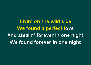 Livine on the wild side
We found a perfect love

And stealin' forever in one night
We found forever in one night