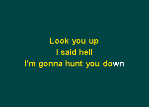 Look you up
I said hell

Pm gonna hunt you down
