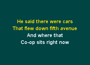 He said there were cars
That flew down fifth avenue

And where that
Co-op sits right now