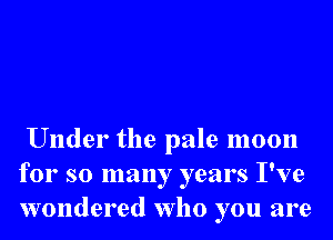 Under the pale moon
for so many years I've
wondered who you are