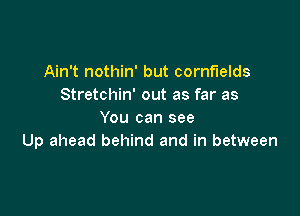 Ain't nothin' but cornfields
Stretchin' out as far as

You can see
Up ahead behind and in between