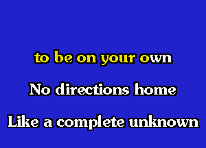 to be on your own
No directions home

Like a complete unknown