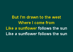 But I'm drawn to the west
Where I come from

Like a sunflower follows the sun
Like a sunflower follows the sun