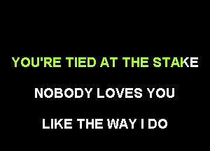 YOU'RE TIED AT THE STAKE

NOBODY LOVES YOU

LIKE THE WAY I DO