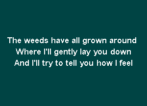 The weeds have all grown around
Where I'll gently lay you down

And I'll try to tell you how I feel