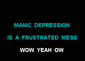 MANIC DEPRESSION

IS A FRUSTRATED MESS

WOW YEAH OW