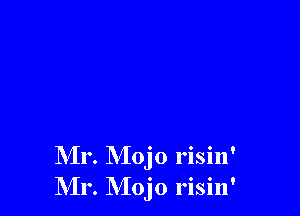 Mr. Mojo risin'
Mr. Mojo risin'