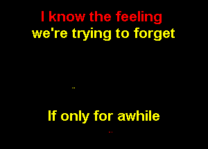 I know the feeling
we're trying to forget

If only for awhile