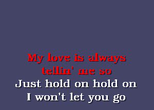 Just hold on hold on
I won't let you go