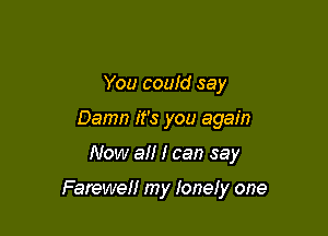 You could say
Damn it's you again

Now all I can say

Farewell my lonely one