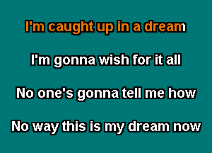 I'm caught up in a dream
I'm gonna wish for it all
No one's gonna tell me how

No way this is my dream now