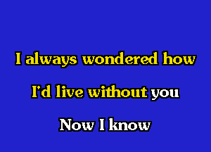 I always wondered how

I'd live without you

Now I know