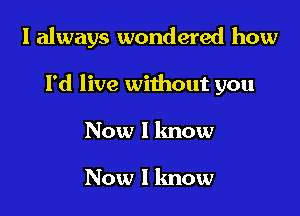 I always wondered how

I'd live without you
Now I know

Now I know