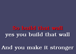 yes you build that wall

And you make it stronger