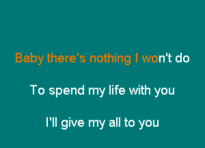 Baby there's nothing I won't do

To spend my life with you

I'll give my all to you