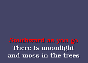 There is moonlight
and moss in the trees
