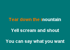 Tear down the mountain

Yell scream and shout

You can say what you want