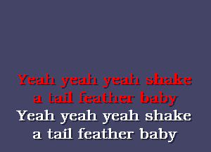 Yeah yeah yeah shake
a tail feather baby