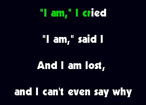 I am, I cried
I am, said I

And I am lost,

and I can't even say why