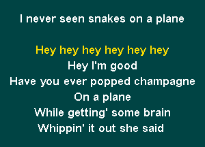 I never seen snakes on a plane

Hey hey hey hey hey hey
Hey I'm good

Have you ever popped champagne
On a plane
While getting' some brain
Whippin' it out she said