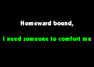 Homeward bound,

I need someone to comfort me