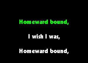 Homeward bound,

I wish I was,

Homeward bound,