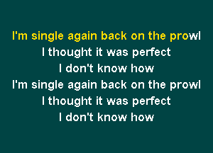 I'm single again back on the prowl
I thought it was perfect
I don't know how

I'm single again back on the prowl
I thought it was perfect
I don't know how