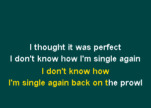 I thought it was perfect

I don't know how I'm single again

I don't know how
I'm single again back on the prowl