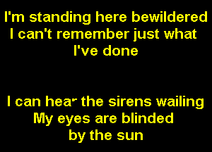 I'm standing here bewildered
I can't remember just what
I've done

I can hear the sirens wailing
My eyes are blinded
by the sun