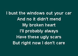 I bust the windows out your car
And no it didn't mend
My broken heart

I'll probably always
Have these ugly scars
But right now I don't care