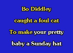 Bo Diddley
caught a foul cat

To make your pretty

baby a Sunday hat I
