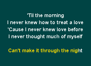 'Til the morning
I never knew how to treat a love
'Cause I never knew love before
I never thought much of myself

Can't make it through the night