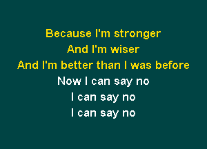 Because I'm stronger
And I'm wiser
And I'm better than I was before

Now I can say no
I can say no
I can say no