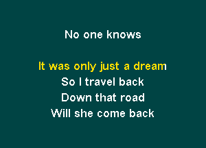 No one knows

It was only just a dream

So I travel back
Down that road
Will she come back