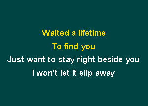 Waited a lifetime
To fund you

Just want to stay right beside you

I won't let it slip away