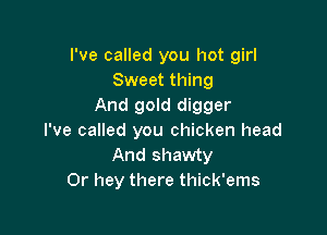 I've called you hot girl
Sweet thing
And gold digger

I've called you chicken head
And shawty
0r hey there thick'ems