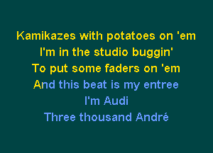 Kamikazes with potatoes on 'em
I'm in the studio buggin'
To put some faders on 'em

And this beat is my entree
I'm Audi
Three thousand Andre?