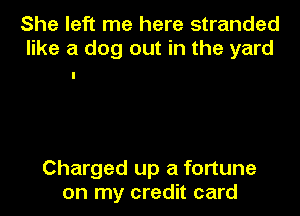 She left me here stranded
like a dog out in the yard

Charged up a fortune
on my credit card